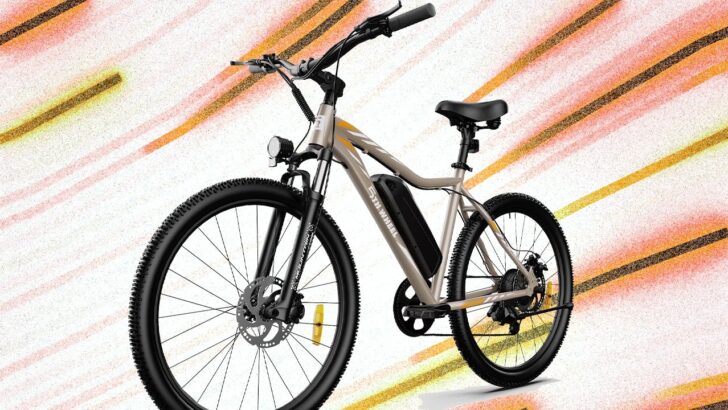 Get-a-36V-500W-Adult-Electric-Bike-for-275-Shipped-mvmDdh.jpg
