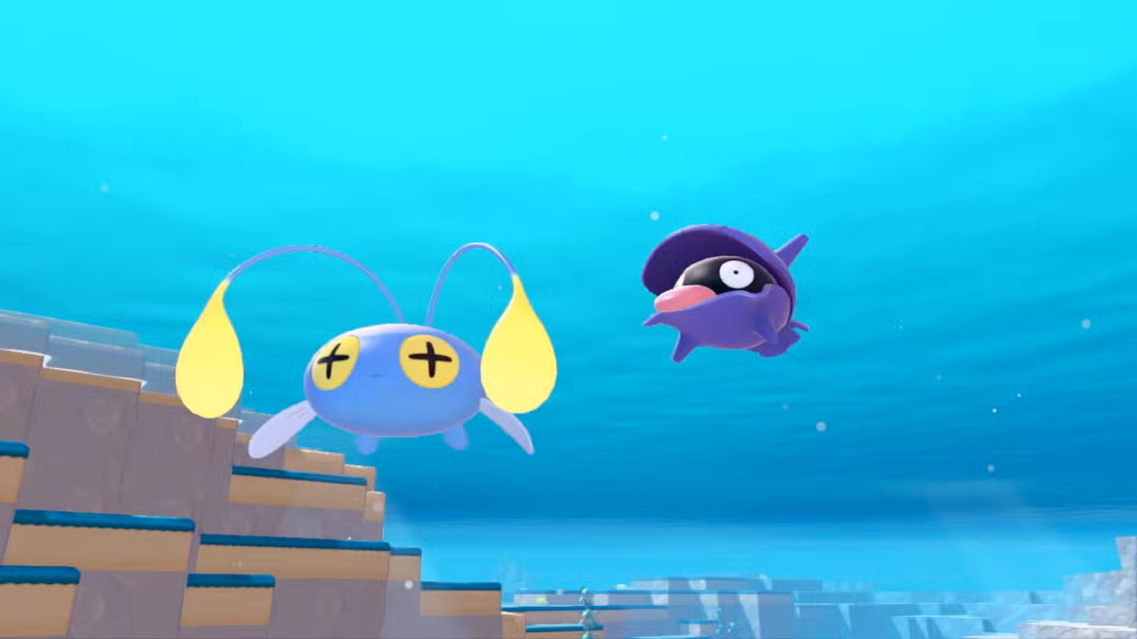 Shellder