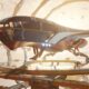 Recorde mundial no 3DMark Port Royal é quebrado com RTX 5090 de US$ 5 mil resfriada a nitrogênio líquido