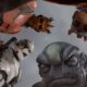 Star Wars Zero Company: um XCOM seguro demais, com alma de Midnight Suns