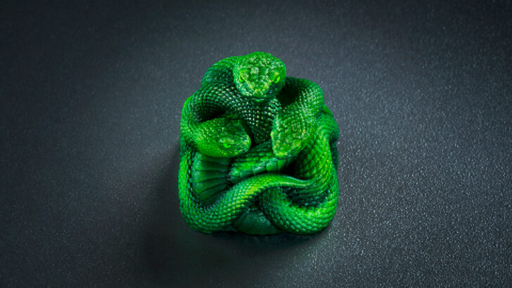 A Razer artisan keycap made of up three resin-cast, neon green snakes