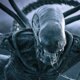 Ridley Scott Confirma Sequência de Alien: Covenant com Michael Fassbender