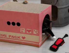 Konami anuncia linha de brinquedos de Metal Gear para gatos em parceria com gato famoso