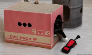Konami anuncia linha de brinquedos de Metal Gear para gatos em parceria com gato famoso