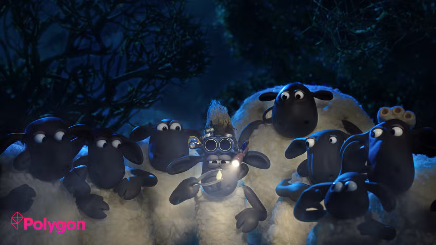 shaun
