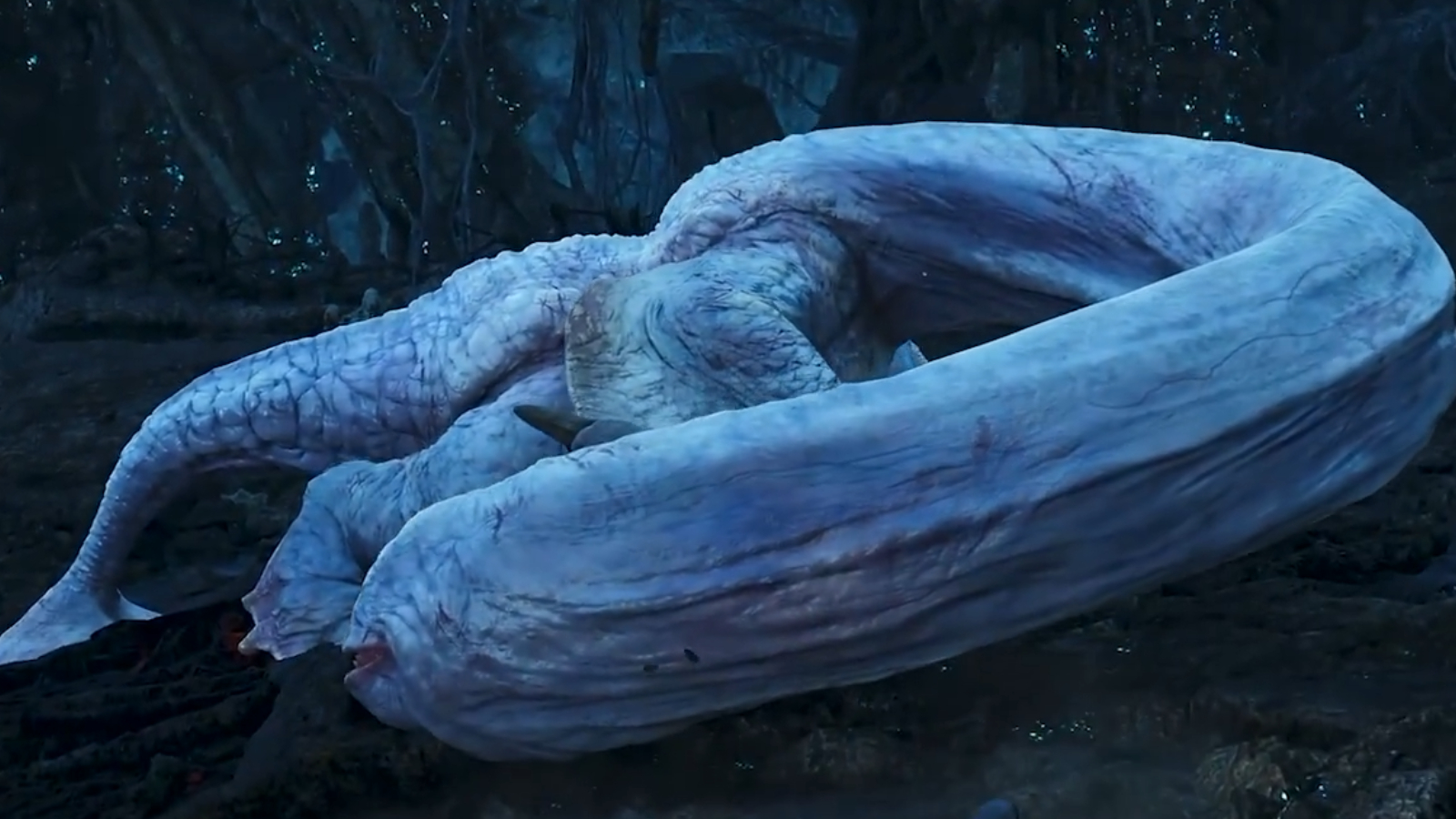 An