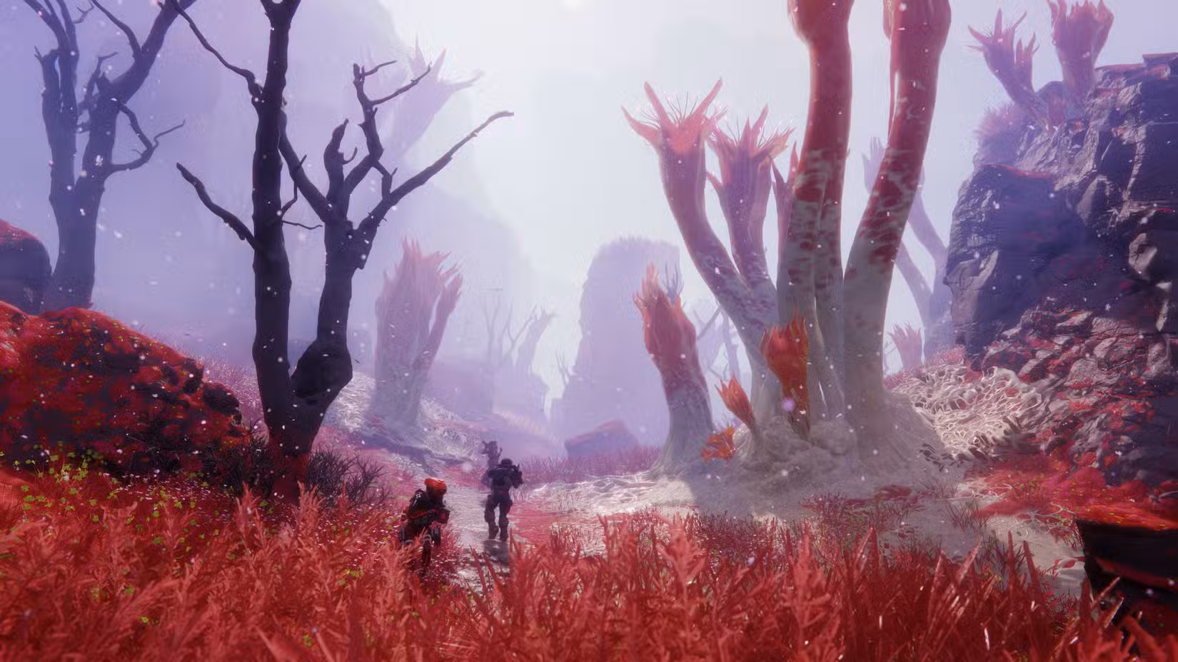 JB_MAR_Symbiosis_Extraction_36-1