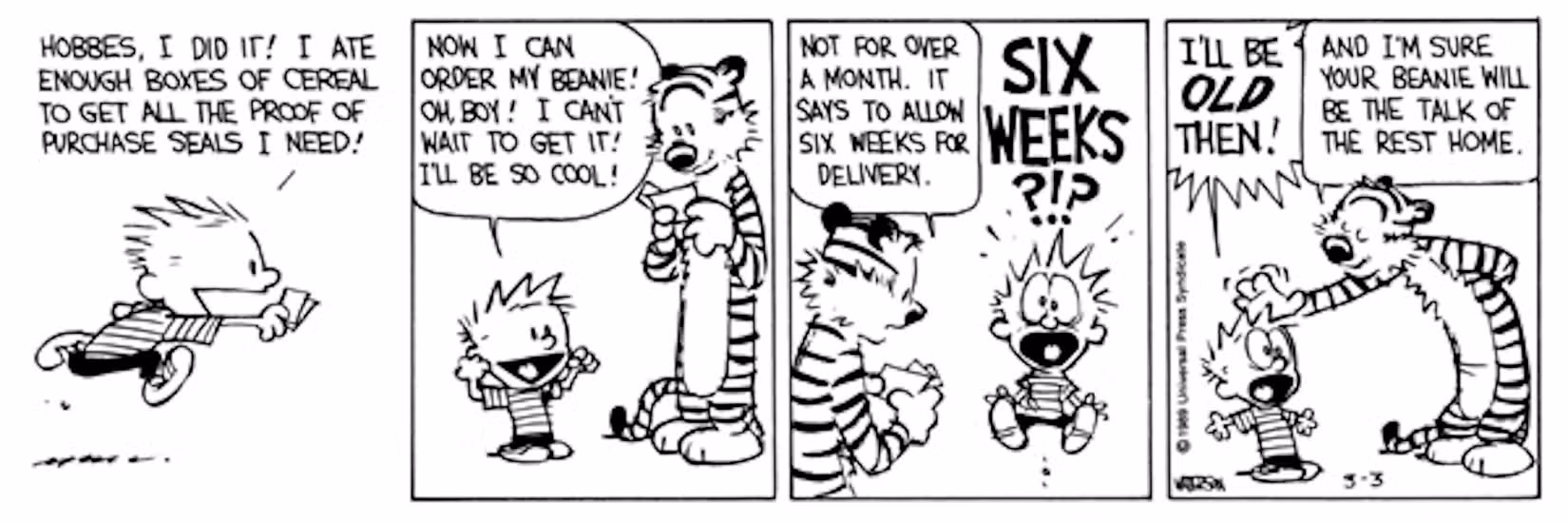 Calvin-and-Hobbes-March-3-1989