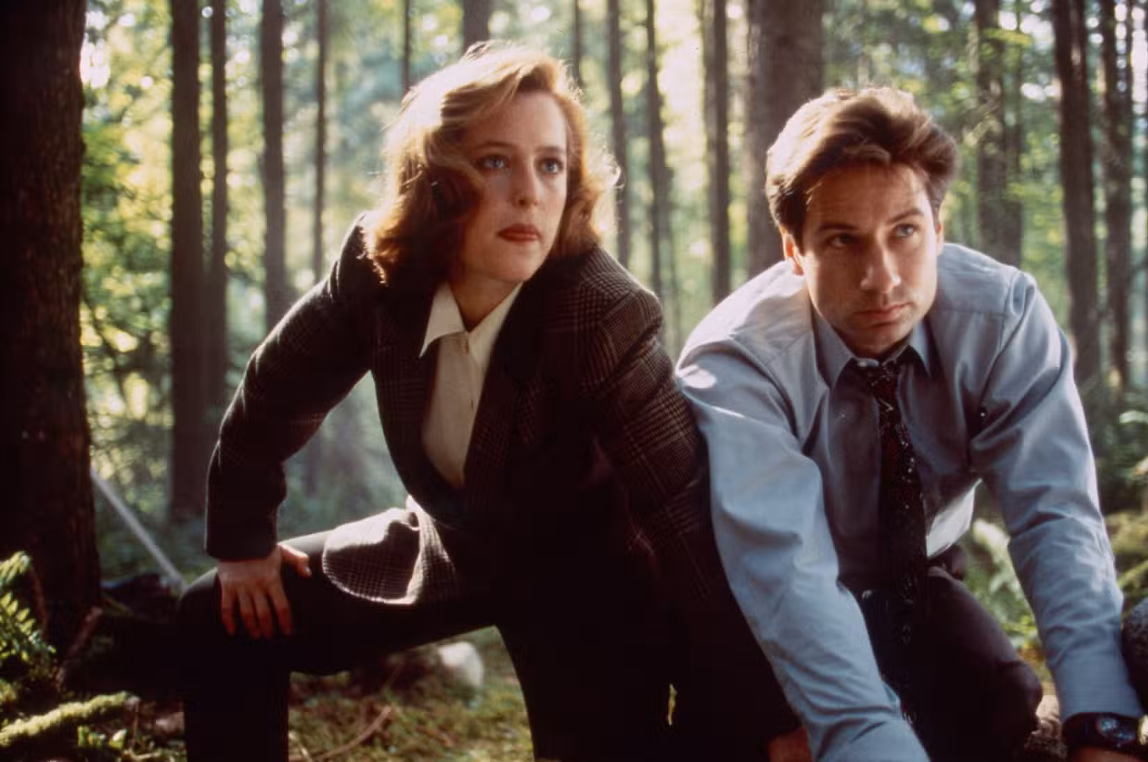 Mulder