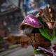 Blood Bowl 3: 70% a 80% das partidas foram solo, revela programador da Cyanide