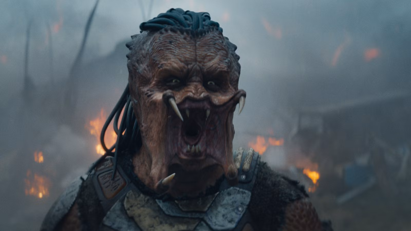 Predator: