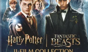 Harry Potter and Fantastic Beasts 11-Film Collection (4K Ultra HD)