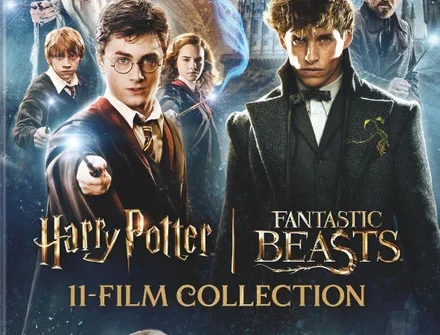 Harry Potter and Fantastic Beasts 11-Film Collection (4K Ultra HD)