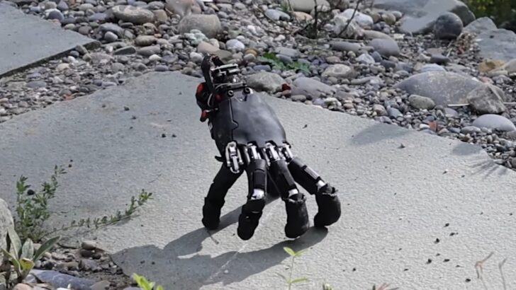 Mão robótica sem corpo anda como aranha e vira pesadelo na internet