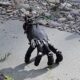 Mão robótica sem corpo anda como aranha e vira pesadelo na internet