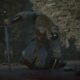 Blood of Dawnwalker: convidar Ambrus muda algo? Entenda o impacto da escolha