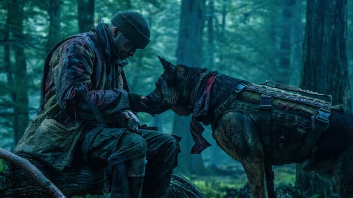 Heart of the Beast: Brad Pitt encara a selvagem do Alasca ao lado de um cão de guerra