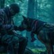 Heart of the Beast: Brad Pitt encara a selvagem do Alasca ao lado de um cão de guerra