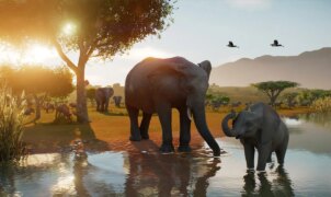 Planet Zoo 2 aposta em reservas naturais e visão em primeira pessoa