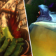 Jogador de WoW acumula 40 missões sem entregar para explodir de XP quando o level cap subir