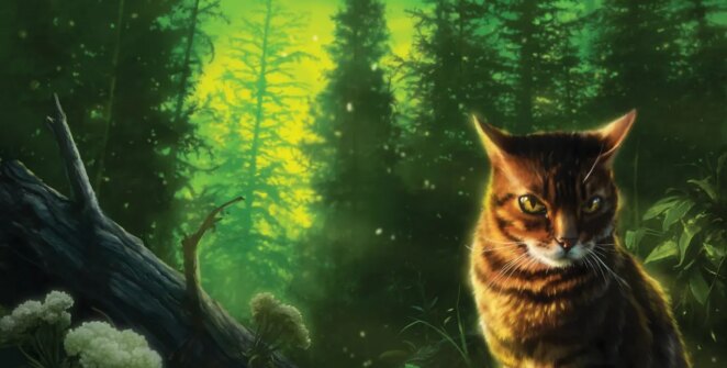 Nova espécie de gato selvagem é descoberta na Bolívia após 100 anos