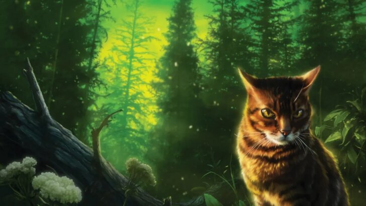 Nova espécie de gato selvagem é descoberta na Bolívia após 100 anos