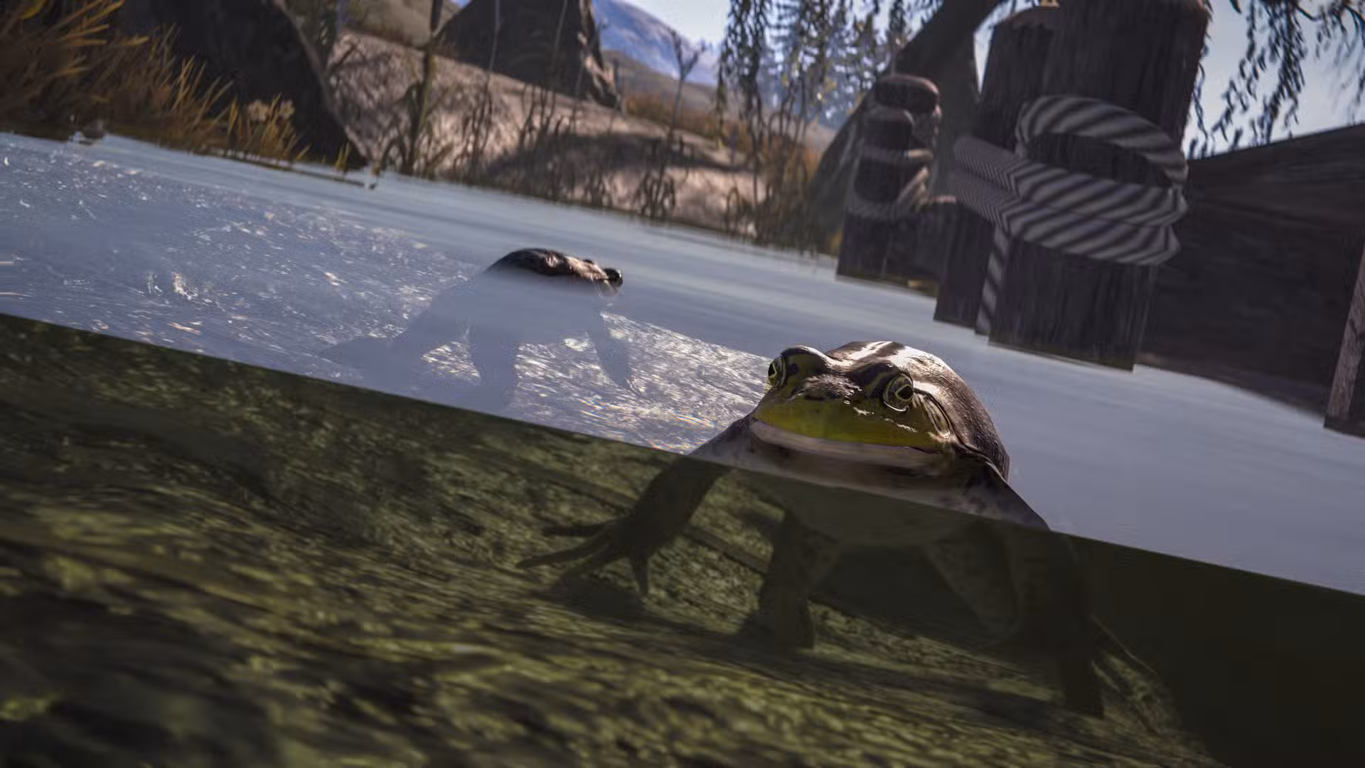 frog