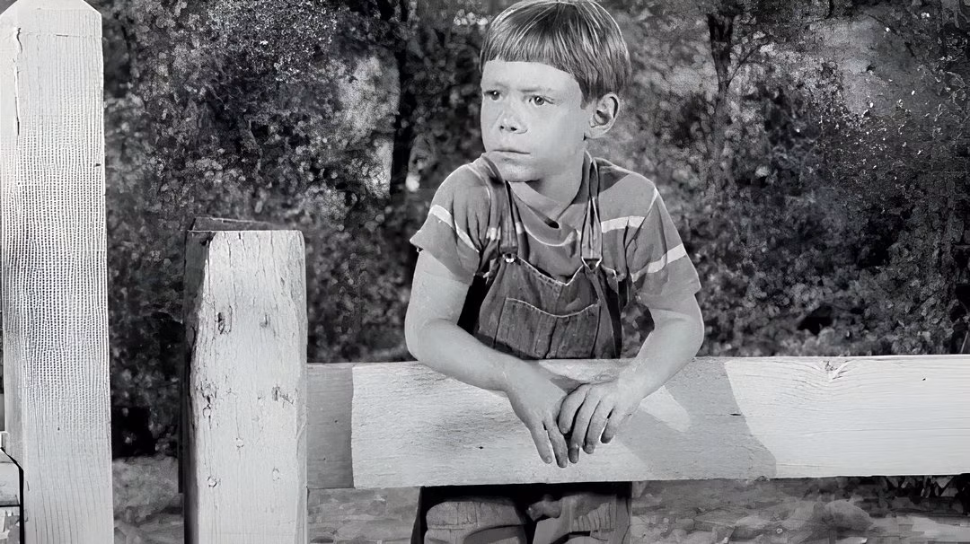 65