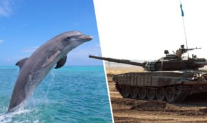 Votação decide a melhor unidade de RTS de todos os tempos; quartas de final estão abertas