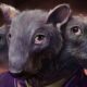 Fallen London: o RPG de texto onde roteiristas de Baldurs Gate 3, Dishonored e Stellaris soltam a imaginação