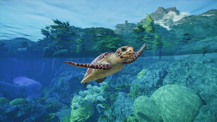 Planet Zoo 2 aposta em reservas naturais e peixes, mas review aponta menus complicados