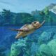 Planet Zoo 2 aposta em reservas naturais e peixes, mas review aponta menus complicados
