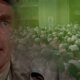 Soylent Green ganha edição especial em Blu-ray com comentário inédito e material extra